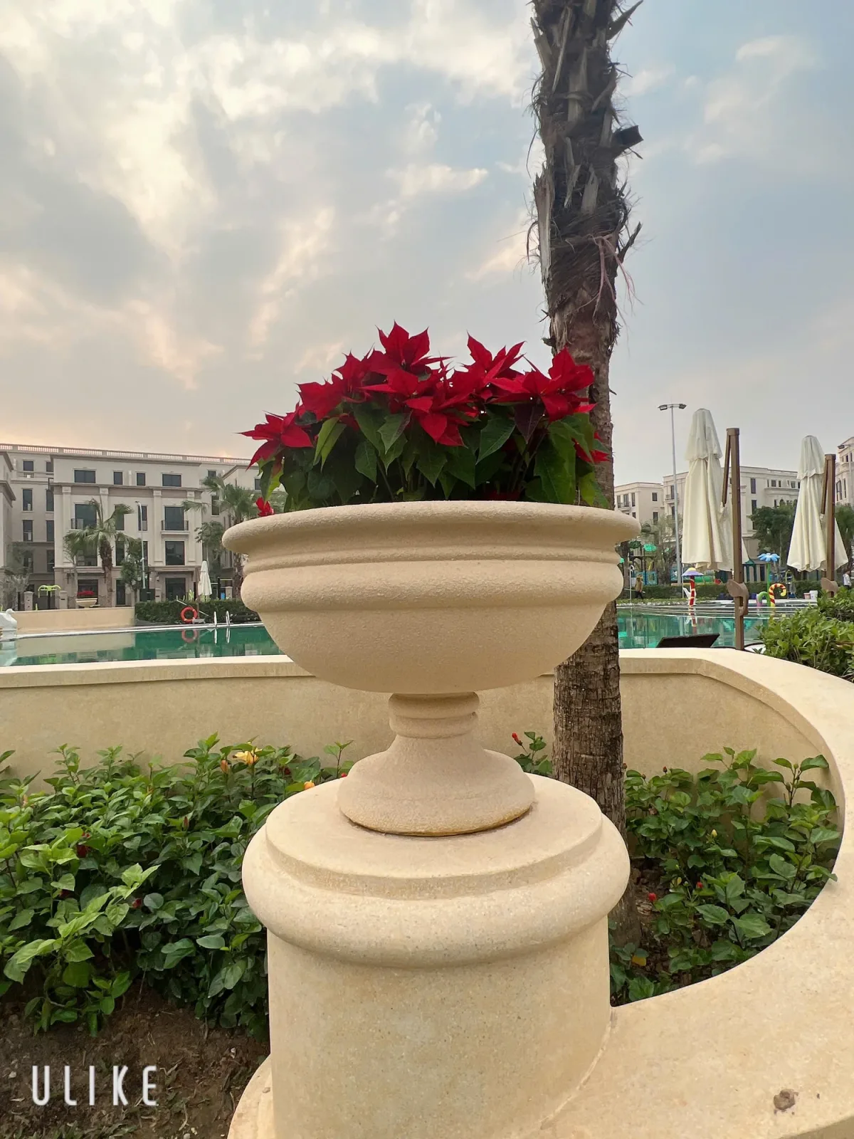 Chậu hoa màu sáng có bệ đặt trong cảnh quan ngoài trời