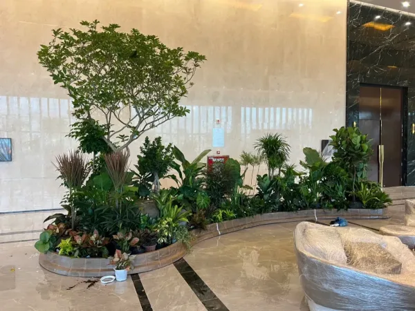 Đảo cây uốn cong gồm cây tán cao, cây bụi và cây lá màu đặt sát tường sảnh